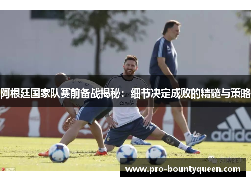 阿根廷国家队赛前备战揭秘：细节决定成败的精髓与策略