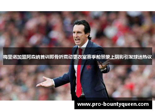 梅里诺加盟阿森纳首训即骨折震动更衣室赛季前景蒙上阴影引发球迷热议