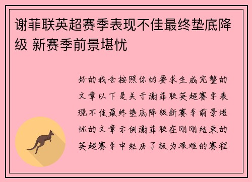 谢菲联英超赛季表现不佳最终垫底降级 新赛季前景堪忧